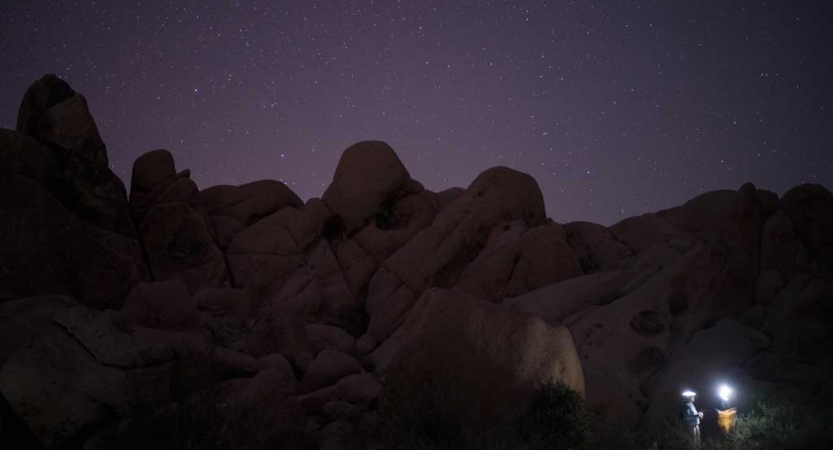 gap year joshua tree